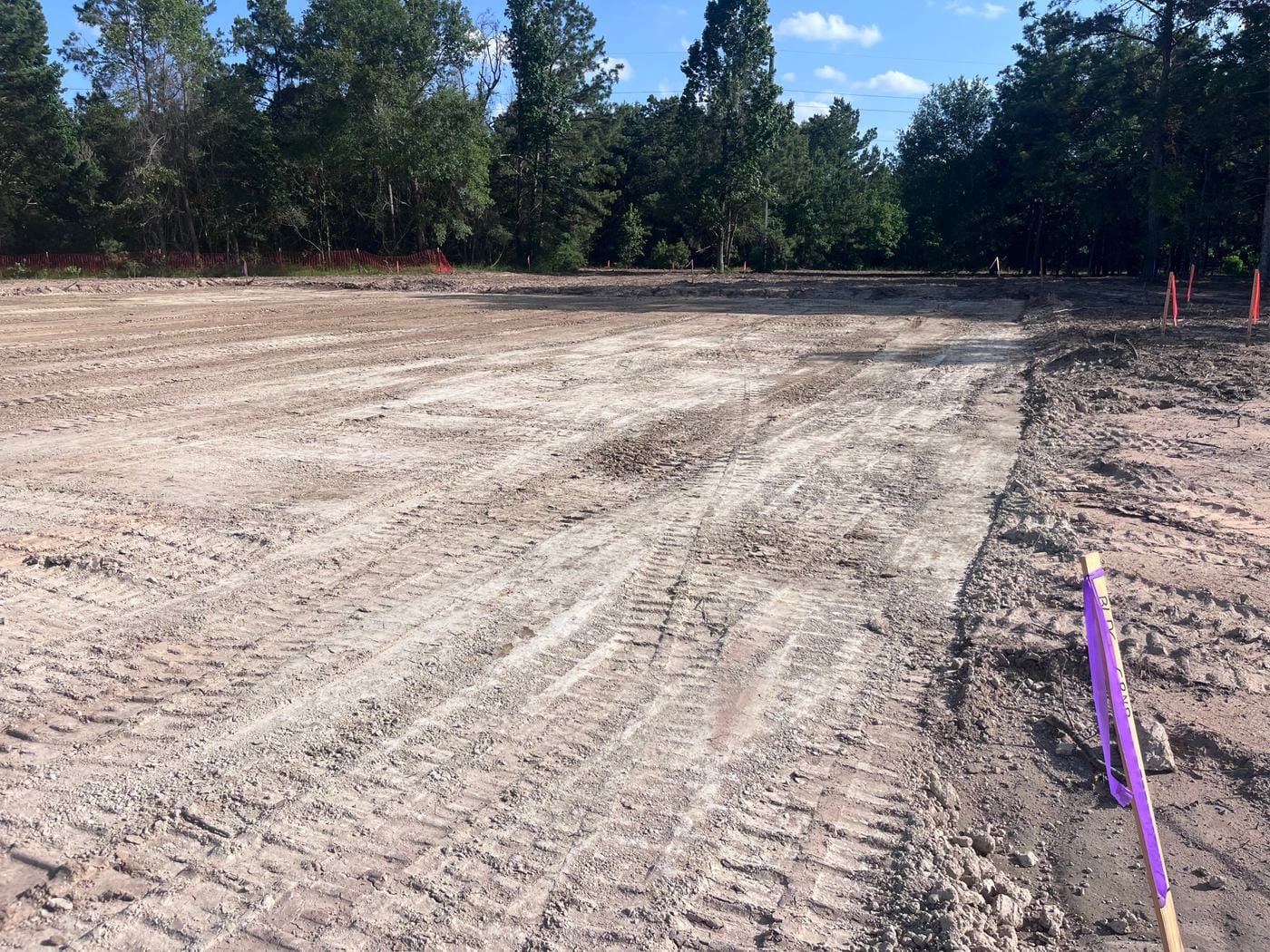 Graded ground with a survey stake, pines around the edge.
